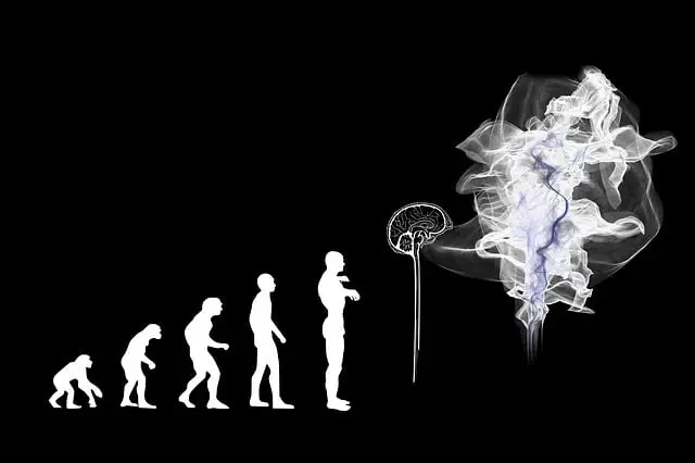 AI-Powered Lead Conversion: Transforming Business Growth in Markham