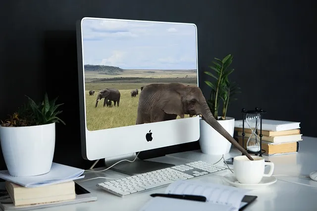 desk